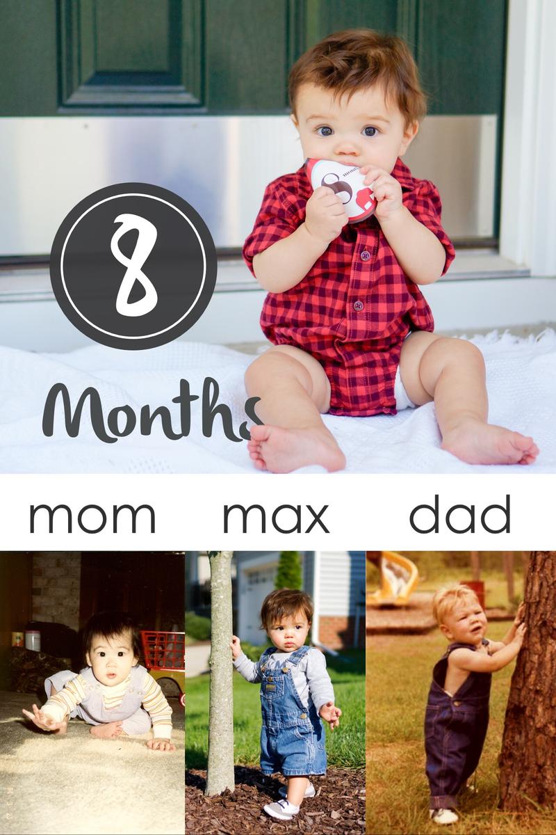 Max 8 Months