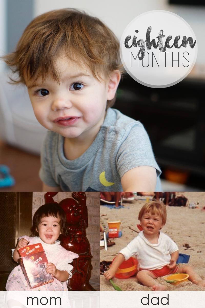 Max at 18 Months via @stitchesandpress