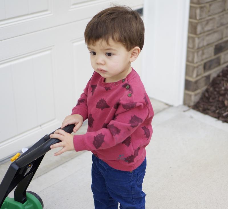 Crazy Cute Sweatshirts for Boys